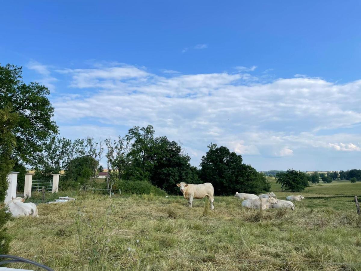 Gite De La Combe Ganat 3 Etoiles Sanvignes-les-Mines 外观 照片